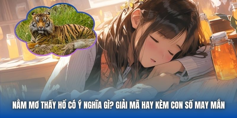 Nằm Mơ Thấy Hổ Có Ý Nghĩa Gì? Giải Mã Hay Kèm Con Số May Mắn