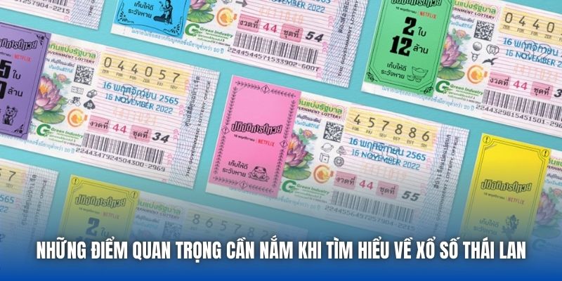 Những điểm quan trọng cần nắm khi tìm hiểu về xổ số Thái Lan