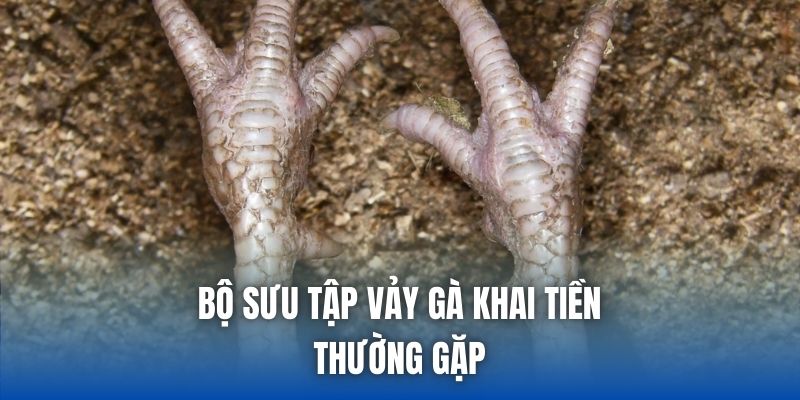 Bộ sưu tập vảy gà khai tiền thường gặp