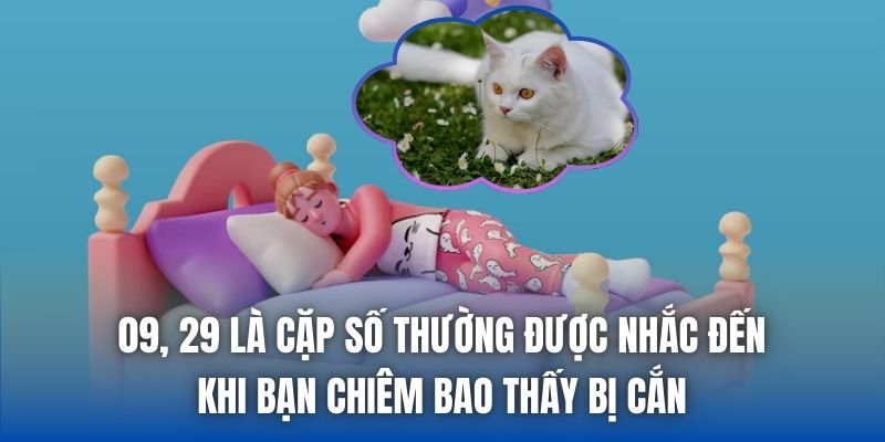 09, 29 là cặp số thường được nhắc đến khi bạn chiêm bao thấy bị cắn
