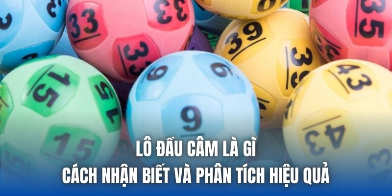 Lô Đầu Câm Là Gì | Cách Nhận Biết Và Phân Tích Hiệu Quả