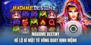 Madame Destiny | Hé Lộ Bí Mật Từ Vòng Quay Định Mệnh