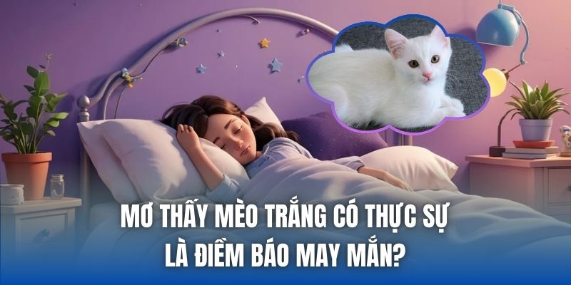 Mơ Thấy Mèo Trắng Có Thực Sự Là Điềm Báo May Mắn?