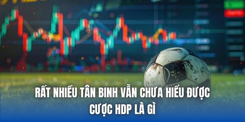 Rất nhiều tân binh vẫn chưa hiểu được cược HDP là gì