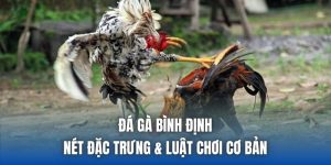 Đá Gà Bình Định - Nét Đặc Trưng & Luật Chơi Cơ Bản