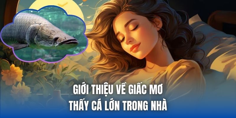 Giới thiệu về giấc mơ thấy cá lớn trong nhà