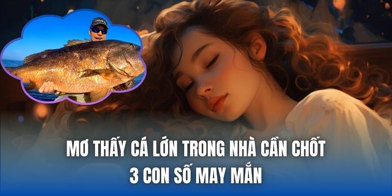 Mơ thấy cá lớn trong nhà cần chốt 3 con số may mắn