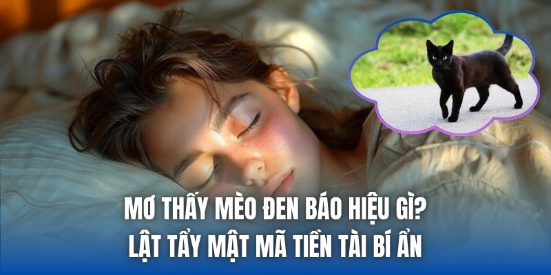 Mơ Thấy Mèo Đen Báo Hiệu Gì? Lật Tẩy Mật Mã Tiền Tài Bí Ẩn