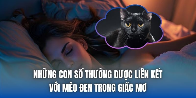 Những con số thường được liên kết với mèo đen trong giấc mơ